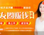 全网千万人气导师亲授:零基础/易上手的朋友圈赚钱攻略,让你轻松月入过万-甬战资源库