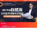 0粉0作品自然流正价起号及稳号全教程，专业自然流起号机构流程化教学（价值2980元）-甬战资源库