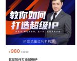 教你如何打造超级IP,抖音流量红利新机遇(价值980元)-甬战资源库