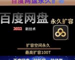 百度网盘无限扩容技术，外面卖399的，无论自己用还是用做引流都可以-甬战资源库