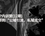 新媒体IP内训营(12期)，一套全新的“公域引流，私域成交”IP打法，直接带走-甬战资源库