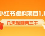 《小红书虚拟项目1.0》账号注册+养号+视频制作+引流+变现，几天就赚两三千-甬战资源库