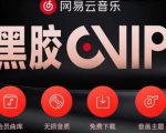网易云音乐撸黑胶年卡及变现方法,收益可无限放大-甬战资源库
