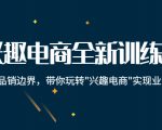 兴趣电商全新训练营：打破品销边界，带你玩转“兴趣电商“实现业务增长-甬战资源库