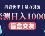 日收益1000+的交友盲盒副业丨有手就行的抖音快手暴力引流-甬战资源库