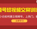 视频号短视频文案训练营：0基础小白如何建立视频号，上热门，能卖货！-甬战资源库