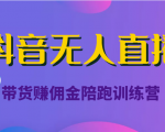 抖音无人直播带货赚佣金陪跑训练营（价值6980元）-甬战资源库