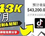 2022抖音国际版Tiktok赚钱项目：每天上传一个视频就轻松月入$43200-甬战资源库