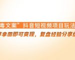 “毒文案”抖音短视频项目玩法，小程序拿图即可变现，复盘经验分享给大家-甬战资源库