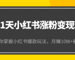 21天小红书涨粉变现营（第4期）：带你掌握小红书爆款玩法，月赚10W+秘密-甬战资源库
