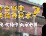 外面收费2980的全平台电商白嫖撸货技术（仅揭秘勿操作-商家防范必看）-甬战资源库