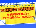 21天视频号变现特训营：单视频播放量2亿+3个月涨粉30w+变现20w+（第14期）-甬战资源库