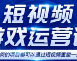 短视频游戏赚钱特训营，0门槛小白也可以操作，日入1000+-甬战资源库