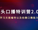 镜头口播特训营2.0版,学习文案编导以及拍摄口播能力(50节课时)-甬战资源库
