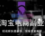 蓝Sir派·淘宝短视频快速起店,替代传统搜索方式,学会做一个不一样的淘宝店-甬战资源库