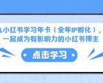 厦九九小红书学习年卡（全年IP孵化），沉浸式学习，一起成为有影响力的小红书博主-甬战资源库