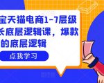 大圣淘宝天猫电商1-7层级盈利增长底层逻辑课,爆款的底层逻辑-甬战资源库