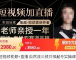 张越·短视频+直播,自然流三频共振起号实操课,短视频所有流量玩法讲解-甬战资源库