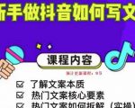 新手做抖音如何写文案，手把手实操如何拆解热门文案-甬战资源库