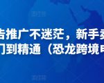 亚马逊广告推广不迷茫，新手卖家产品运营入门到精通（恐龙跨境电商）-甬战资源库