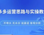 拼多多店铺运营思路与实操教程，快速学会拼多多开店和运营，少踩坑，多盈利-甬战资源库