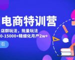 美团电商特训营:美团·店群玩法,无脑铺货月产出6000-15000+精细化月产2w+-甬战资源库