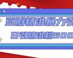 豆瓣精准暴力引流，日引精准粉500+【12课时】-甬战资源库
