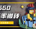 外面9800的CSGO汇率搬砖项目,一个月轻松赚几千【选品软件+详细教程】-甬战资源库