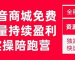 抖音商城搜索持续盈利陪跑成长营，抖音商城搜索从0-1、从1到10的全面解决方案-甬战资源库