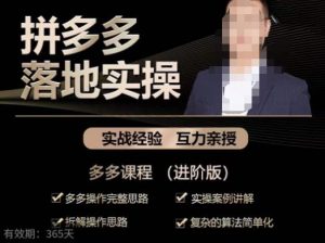 拼多多实战篇·落地实操:多多操作完整思路+实操案例讲解+拆解操作思路+复杂的算法简单化-甬战资源库