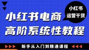 小红书电商高阶系统教程，新手从入门到精通系统课-甬战资源库