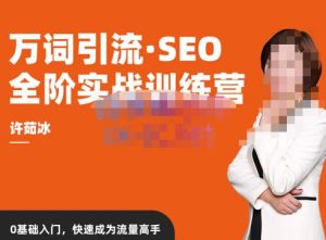 许茹冰·万词引流-SEO全阶实战训练营，0基础入门，快速成为流量高手-甬战资源库