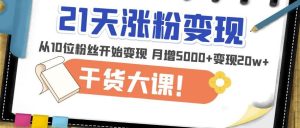 21天精准涨粉变现干货大课:从10位粉丝开始变现月增5000+变现20w+-甬战资源库