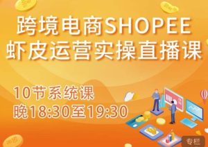 跨境电商Shopee虾皮运营实操直播课，从零开始学，入门到精通（10节系统课）-甬战资源库