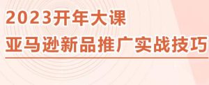 2023亚马逊新品推广实战技巧，线下百万美金课程的精简版，简单粗暴可复制，实操性强的推广手段-甬战资源库
