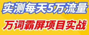 百度万词霸屏实操项目引流课，30天霸屏10万关键词-甬战资源库