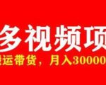 多多带货视频快速50爆款拿带货资格，搬运带货，月入30000【全套脚本+详细玩法】-甬战资源库