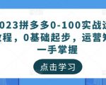 2023拼多多0-100实战运营教程，0基础起步，运营知识一手掌握-甬战资源库