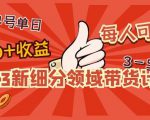2023新细分领域带货计划：单号单日1000+收益不难，每人可操作3-5个账号-甬战资源库