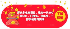 2023拼多多电商项目，稳定一天300～3000+，门槛低，出单快，一部手机即可完成-甬战资源库