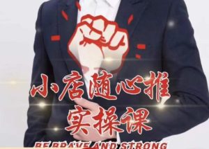 随心推线上课，小店随心推的投放逻辑，投放技巧，快速打标签-甬战资源库