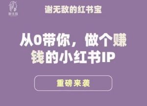 谢无敌·小红书运营大宝典,从0带你做个赚钱的小红书IP-甬战资源库