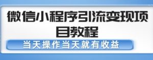 微信小程序引流变现项目教程,当天操作当天就有收益,变现不再是难事-甬战资源库