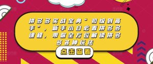 拼多多实战宝典“初级到高手”,新手小白必看拼多多课程,带你全方位解读拼多多各种玩法-甬战资源库
