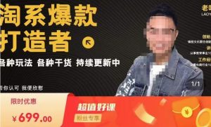 锋投老叶全店动销，淘系干货汇总，各种玩法，淘系爆款打造者-甬战资源库