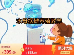 水母摆摊教学,包括摆摊技术、养殖技术、拿货渠道、抖音运营等-甬战资源库