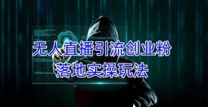 外面收费3980的无人直播引流创业粉落地实操玩法,单日引100+精准创业粉-甬战资源库