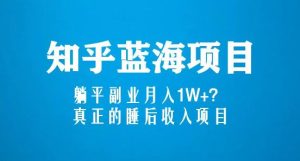 知乎蓝海玩法，躺平副业月入1W+，真正的睡后收入项目（6节视频课）-甬战资源库