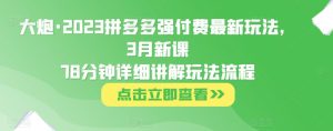 大炮·2023拼多多强付费最新玩法,3月新课78分钟详细讲解玩法流程-甬战资源库