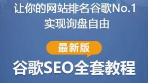 谷歌SEO实战教程:如何让你的网站在谷歌排名第一,内容从入门到高阶,适合个人及团队-甬战资源库